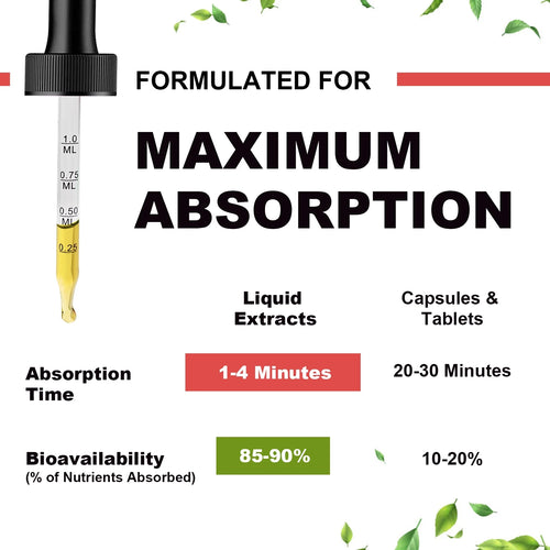 4 Fl Oz Magnesium Liquid Drop - Complex Magnesium with Citrate, Malate and Taurate - Sugar-Free Vegetarian- Raspberry Flavor