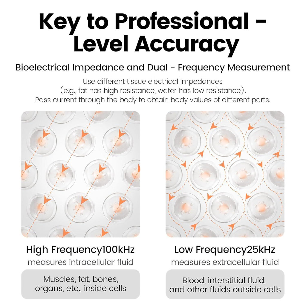 Smart Body Fat Scale Digital Bluetooth Bathroom Scale Accurately Measures Body Fat and 55 Body Composition Indicators