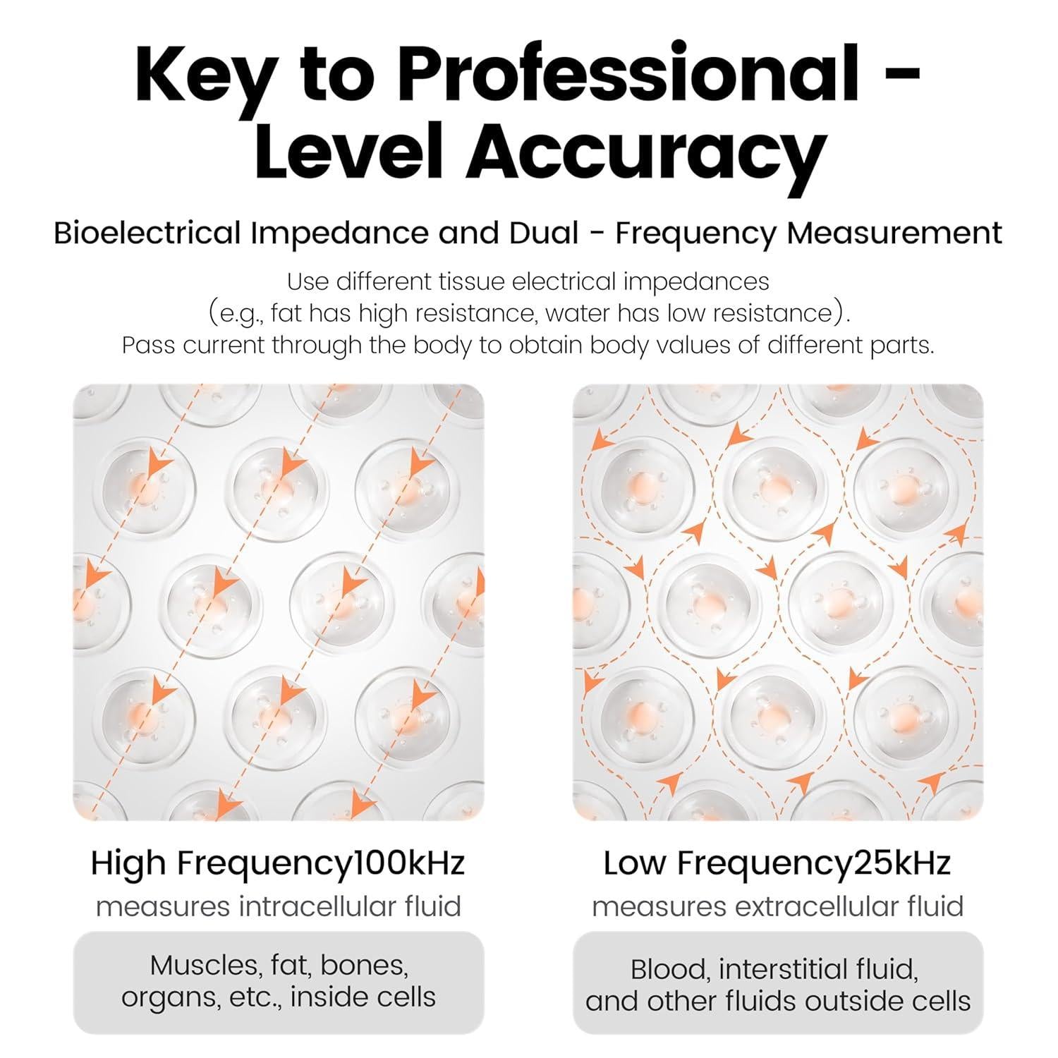 Smart Body Fat Scale Digital Bluetooth Bathroom Scale Accurately Measures Body Fat and 55 Body Composition Indicators